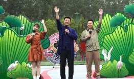 临沂温泉爆料视频最新消息,探秘神秘温泉奇观，揭秘养生胜地魅力