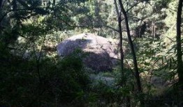 长春花溪谷最新爆料,隐秘仙境惊艳揭秘，生态旅游新地标即将崛起