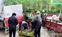 息县吃瓜群众爆料最新,吃瓜群众热议不断！