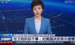 美国最新爆料谭德赛,揭秘美国疫情背后的真相与挑战