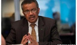 美国最新爆料谭德赛,揭秘美国疫情背后的真相与挑战