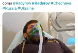 爆料小卡德罗夫最新消息,揭秘俄罗斯内部动态与未来走向”