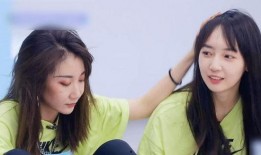 刘恋最新爆料,娱乐圈背后的真实故事