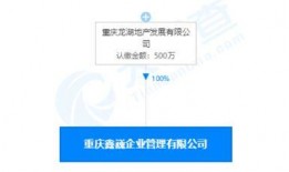 龙湖地产资金最新爆料