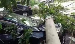 海南最新事件爆料,揭秘神秘事件背后的真相