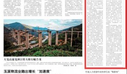 玉溪日报爆料新闻最新疫情,最新疫情速报，防控措施持续加强