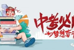 博德风彩爆料最新消息今天,今日热点事件深度解析