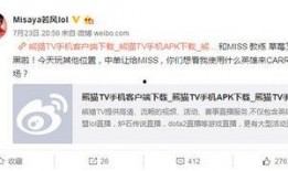 董小姐格子间爆料最新,揭秘职场生存法则与真实职场生态
